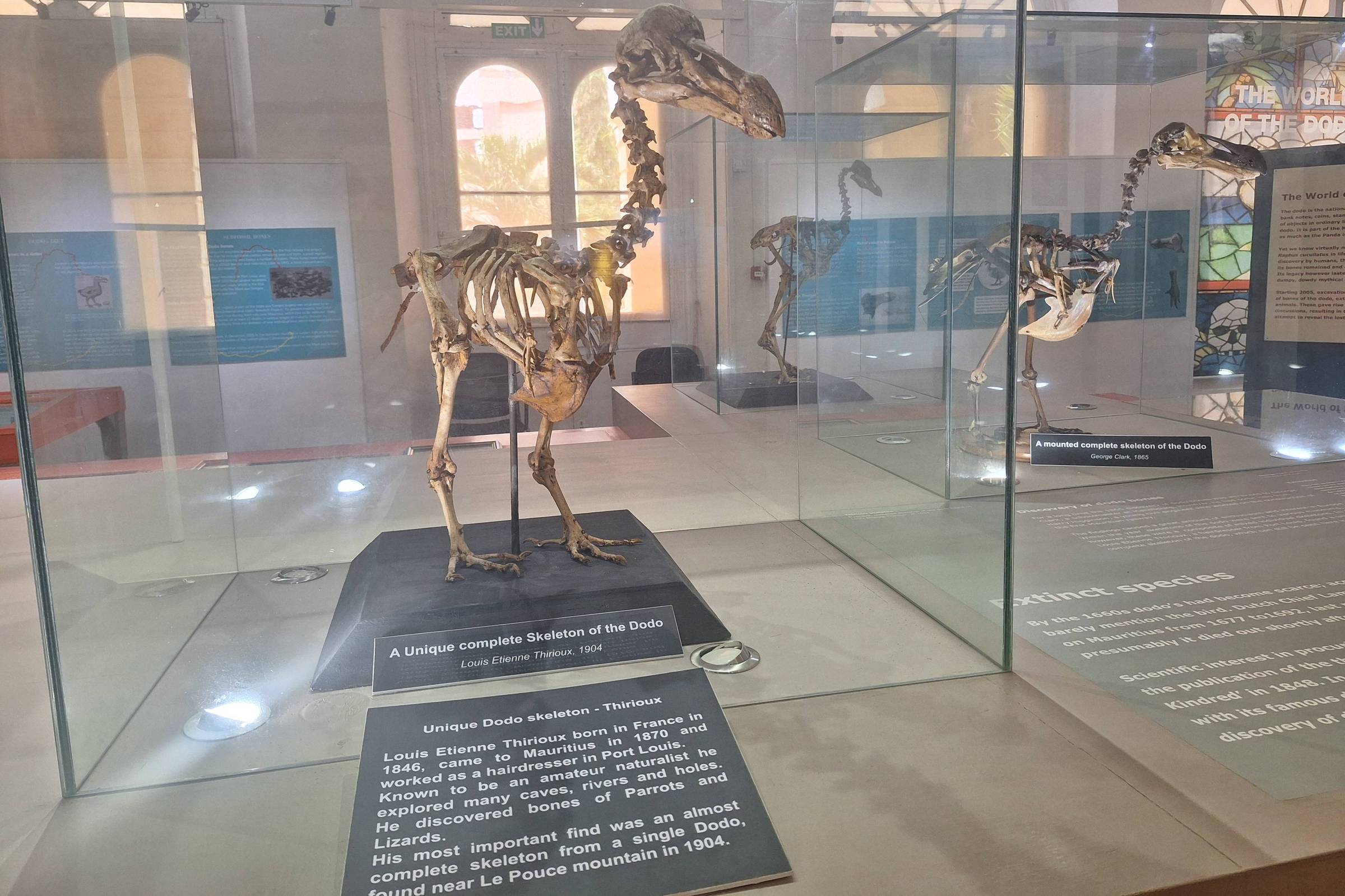 Muniz Sodré: Identidades mortas a caminho - 01/02/2025 - Muniz Sodré