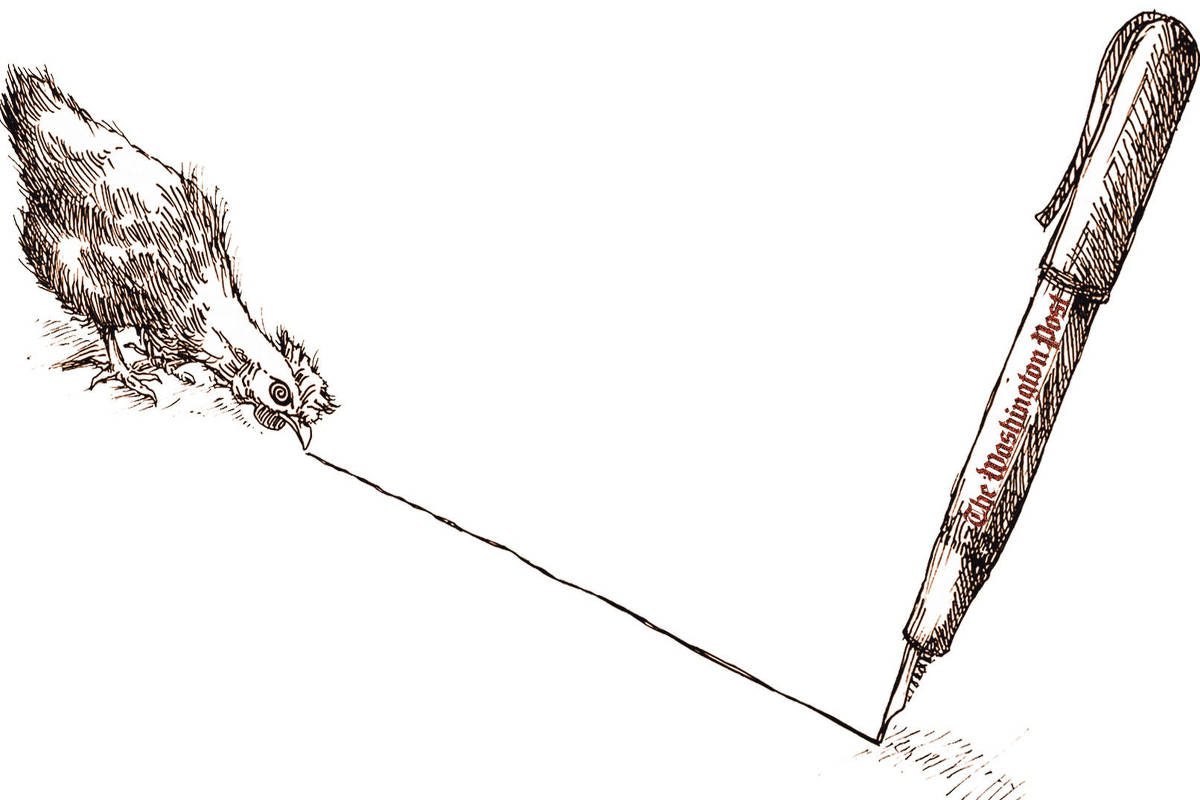 Na ilustração, à direita, uma galinha paralisada e sem poder se mexer, hipnotizada com o olhar fixo numa linha reta desenhada na sua frente. À direita, a caneta tinteiro que acaba de traçar a linha reta, tem uma gravação no corpo da caneta The Washington Post. O fundo da ilustração é branco, e os traços do desenho tem tons sépia escuro, lembrando as ilustrações que apareciam no jornal em 1877 quando fundado por Stilson Hutchins, em contraste das novas diretrizes editoriais de seu dono desde 2013, Jeff Bezos.