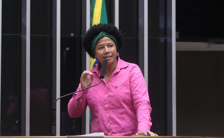Discussão e votação de propostas legislativas. Dep. Silvia Cristina (PP - RO)
