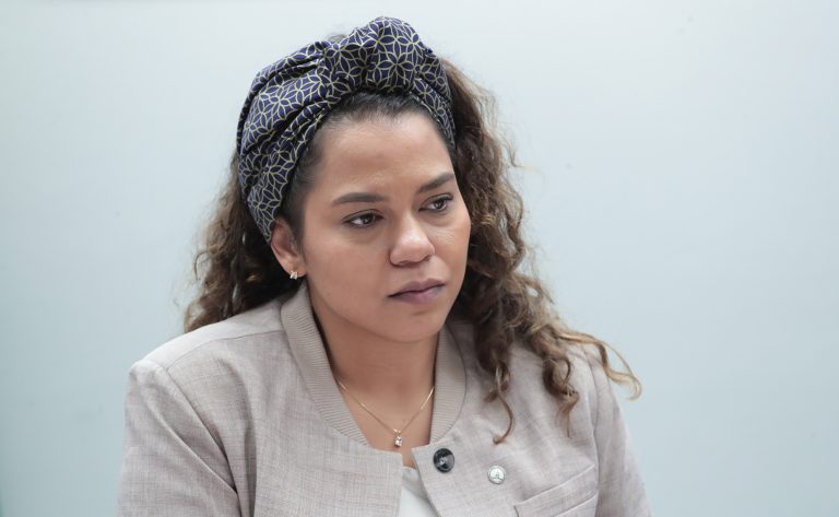 Debate: Políticas Públicas de combate ao racismo e às desigualdades de gênero na construção de um Brasil justo e desenvolvido. Dep. Dandara (PT - MG)