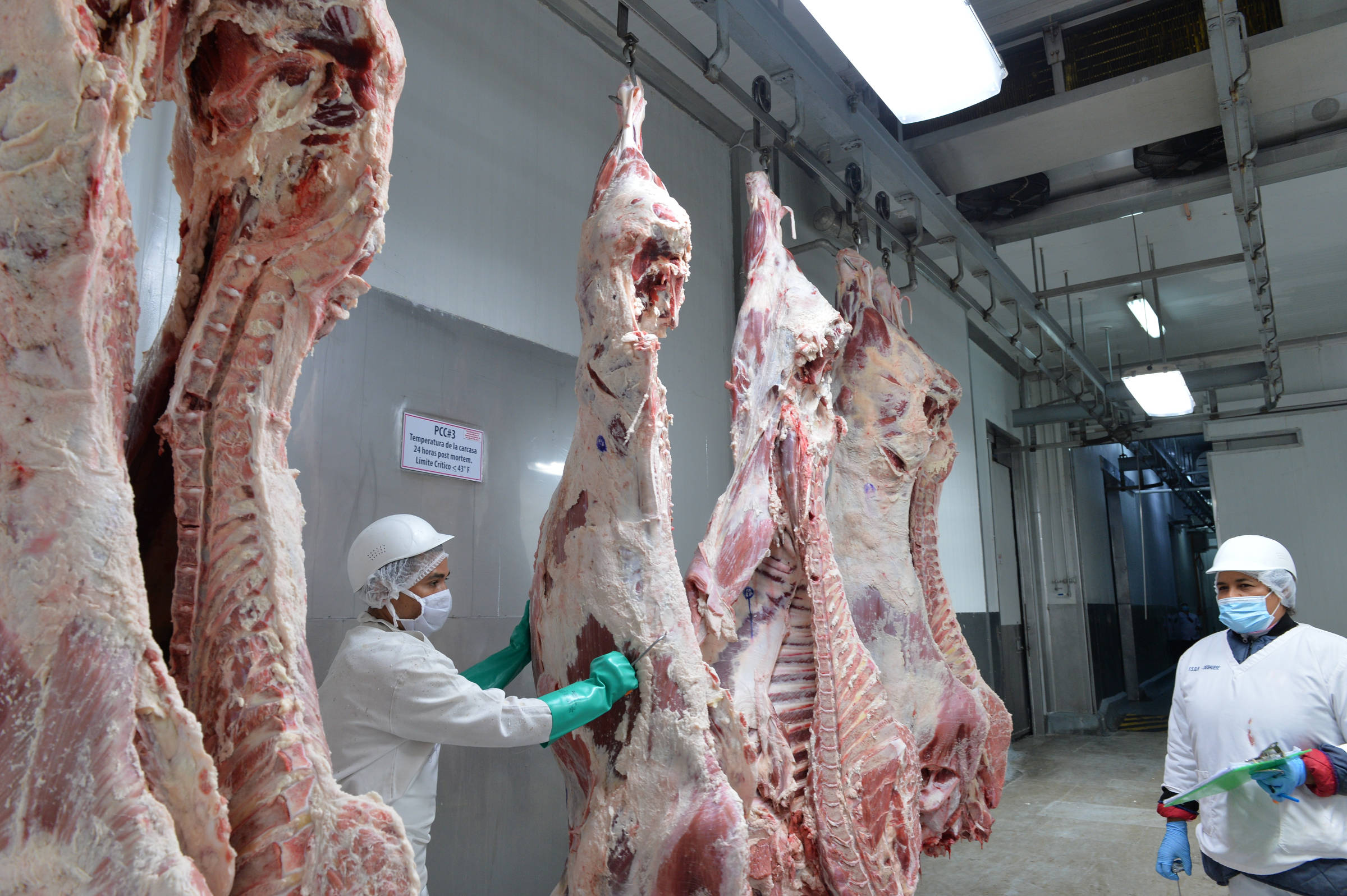 Exportação de carne vai a 4,8 milhões de t no semestre - 08/07/2025 - Vaivém