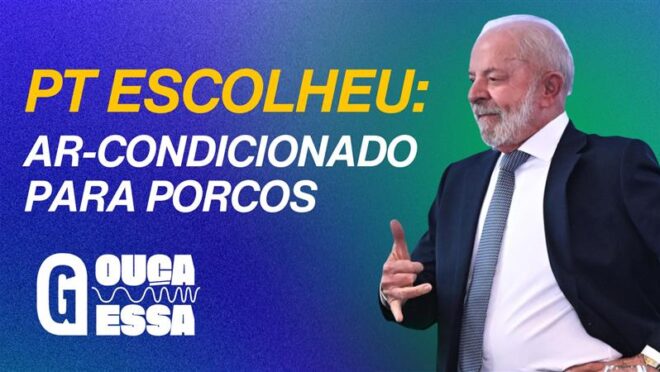 Governo quer impor ar-condicionado para transporte animal
