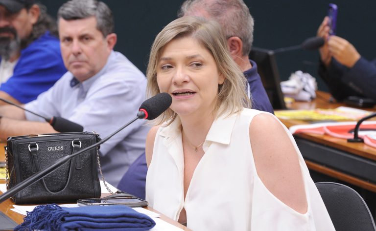 Audiência Pública - A realidade da Avibras Indústria Aeroespacial e a soberania nacional. Dep. Professora Luciene Cavalcante (PSOL - SP)