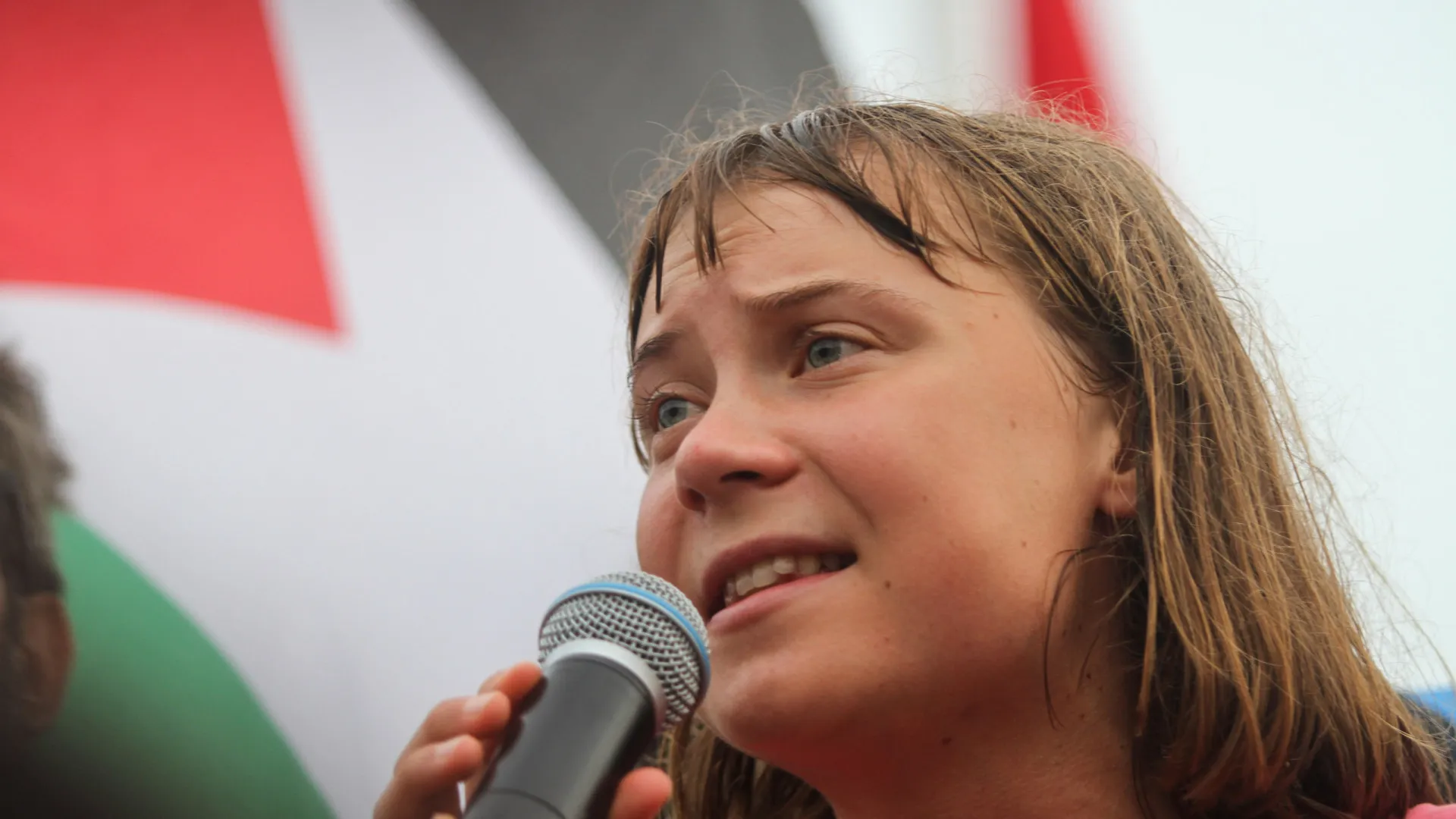 Greta Thunberg é obrigada a beijar bandeira de Israel na prisão