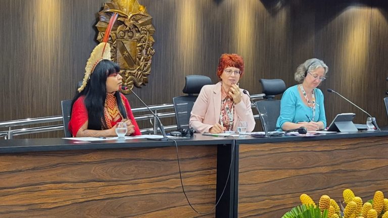 Parlamentares mulheres defendem integração entre gênero e clima em debate na COP30