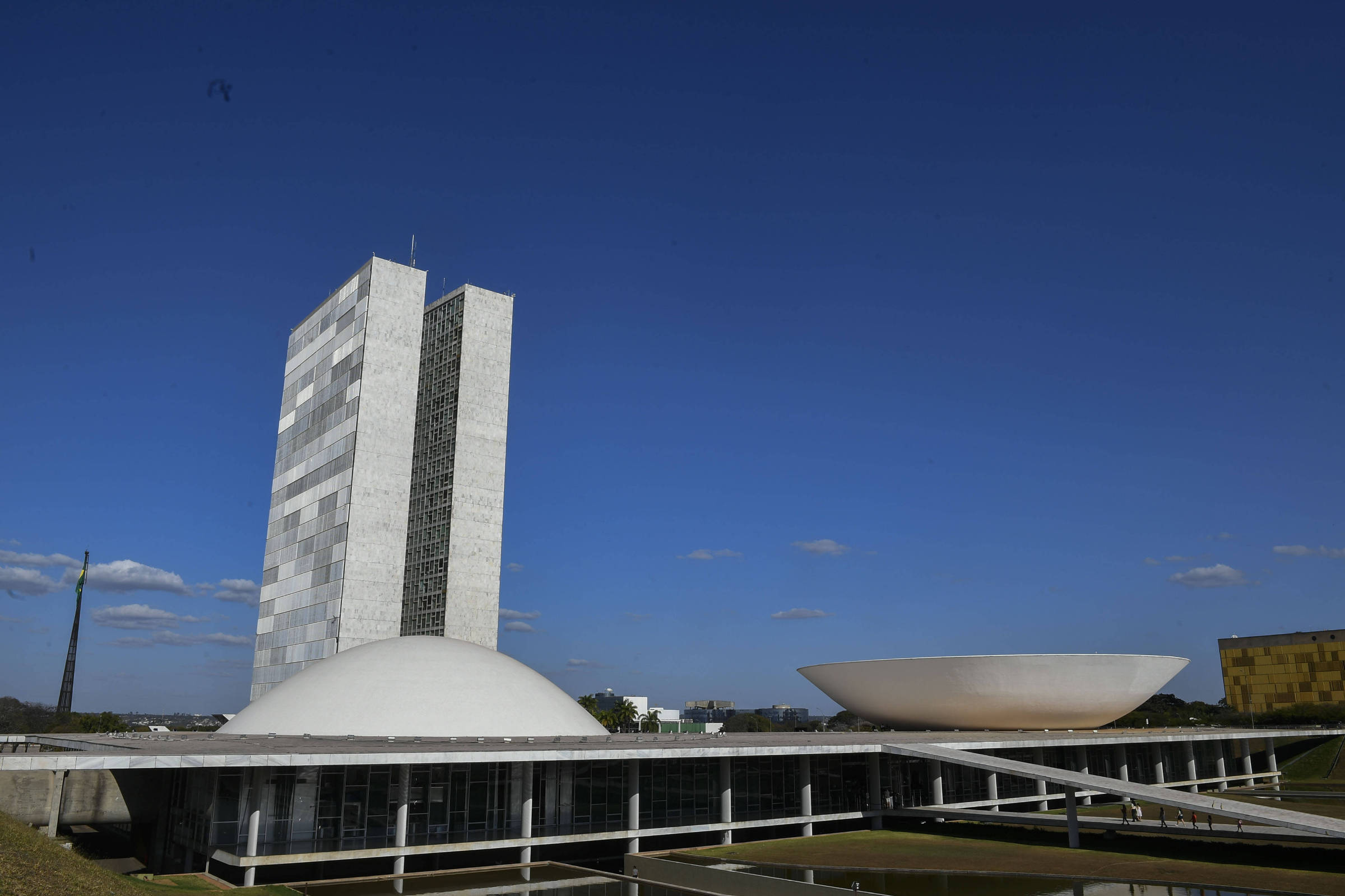 Com penduricalhos, Carnaval dos Poderes dura o ano todo - 09/02/2026 - Alvaro Costa e Silva