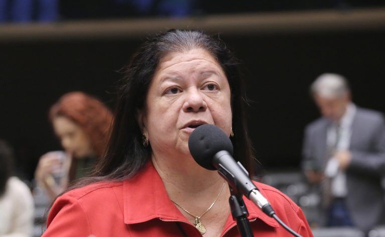 Deputada Laura Carneiro fala ao microfone