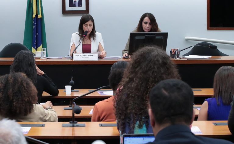 Apresentação do Relatório da Coordenadora. Dep. Tabata Amaral (PSB - SP)