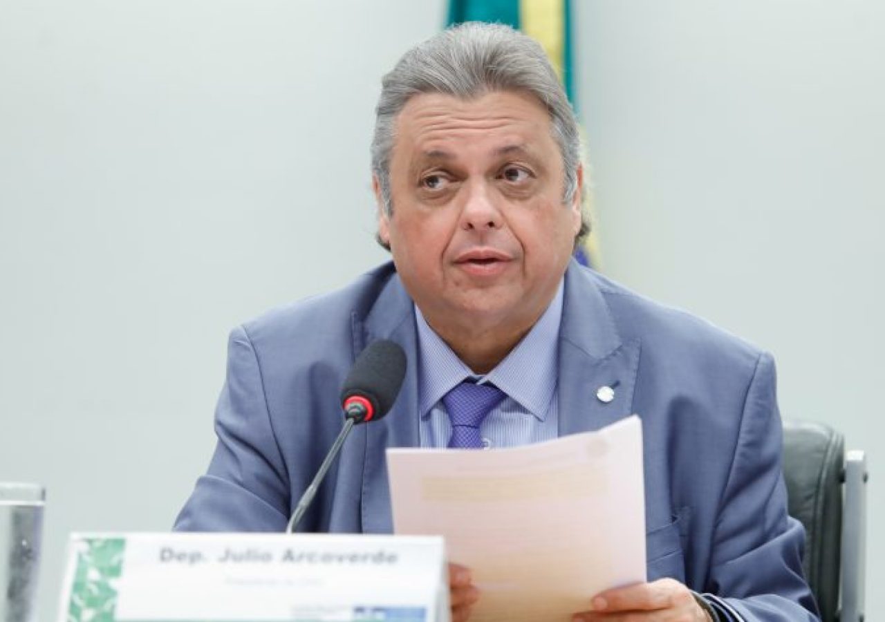 Deliberação dos Relatórios Setoriais apresentados ao PLN 26/2024-CN (PLOA 2025). Dep. Julio Arcoverde (PP - PI)